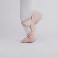 Pretty Little Dancer_ Ballet Shoes_ Canvas