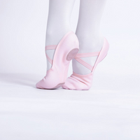 PLD_Canvas Ballet Pink Shoes