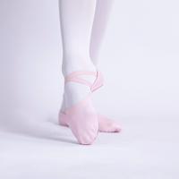 PLD_Canvas Ballet Shoes Pointe