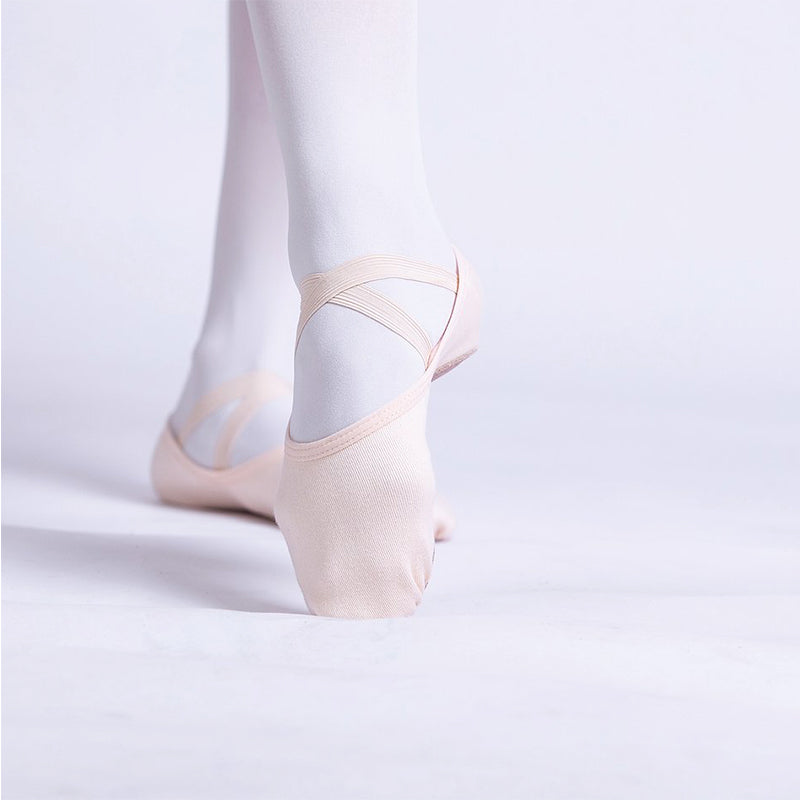 PLD_Canvas Ballet Shoes