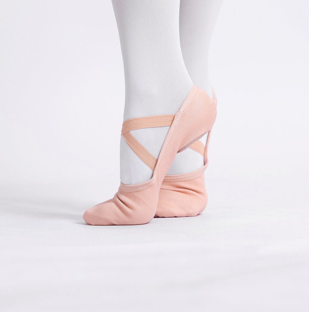 Pretty Little Dancer_ Ballet Shoes_ Canvas