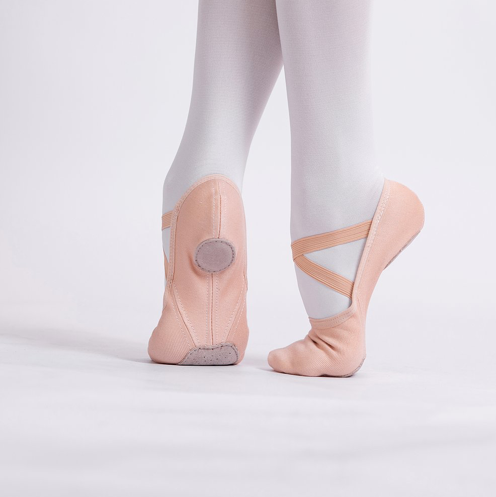 Pretty Little Dancer_ Ballet Shoes_ Canvas