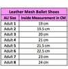 Pretty Little Dancer_ Ballet Shoes_ Size Guide